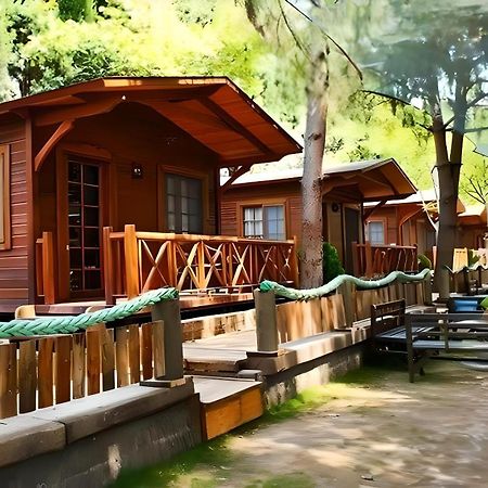 Green House Uzungol Trabzon Exterior foto